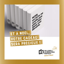 Visuel Noël Non un livre ne coûte pas plus cher dans une librairie