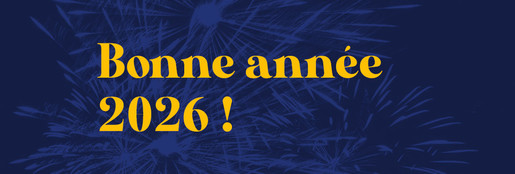 Le SLF vous souhaite de bonnes fêtes de fin d'année !