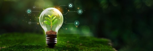 Un webinaire sur la transition environnementale des entreprises culturelles