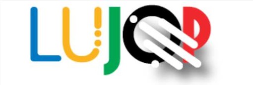 Enquête à destination des professionnels pour la gestion des flux et de la logistique pendant les JOP 2024