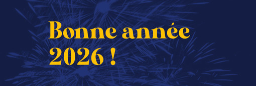 Le SLF vous souhaite de bonnes fêtes de fin d'année !