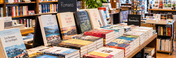 banc-de-livres.png