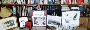 librairie-des-mascareignes.jpg librairie-des-mascareignes.jpg